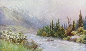 Tôt le matin près de Pahlgam, vallée de Lidar - Unbekannt Unbekannt